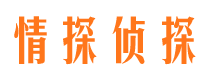 团风侦探